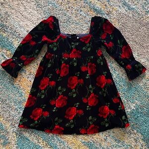 Janie and Jack Floral Velvet Dress with Red Roses